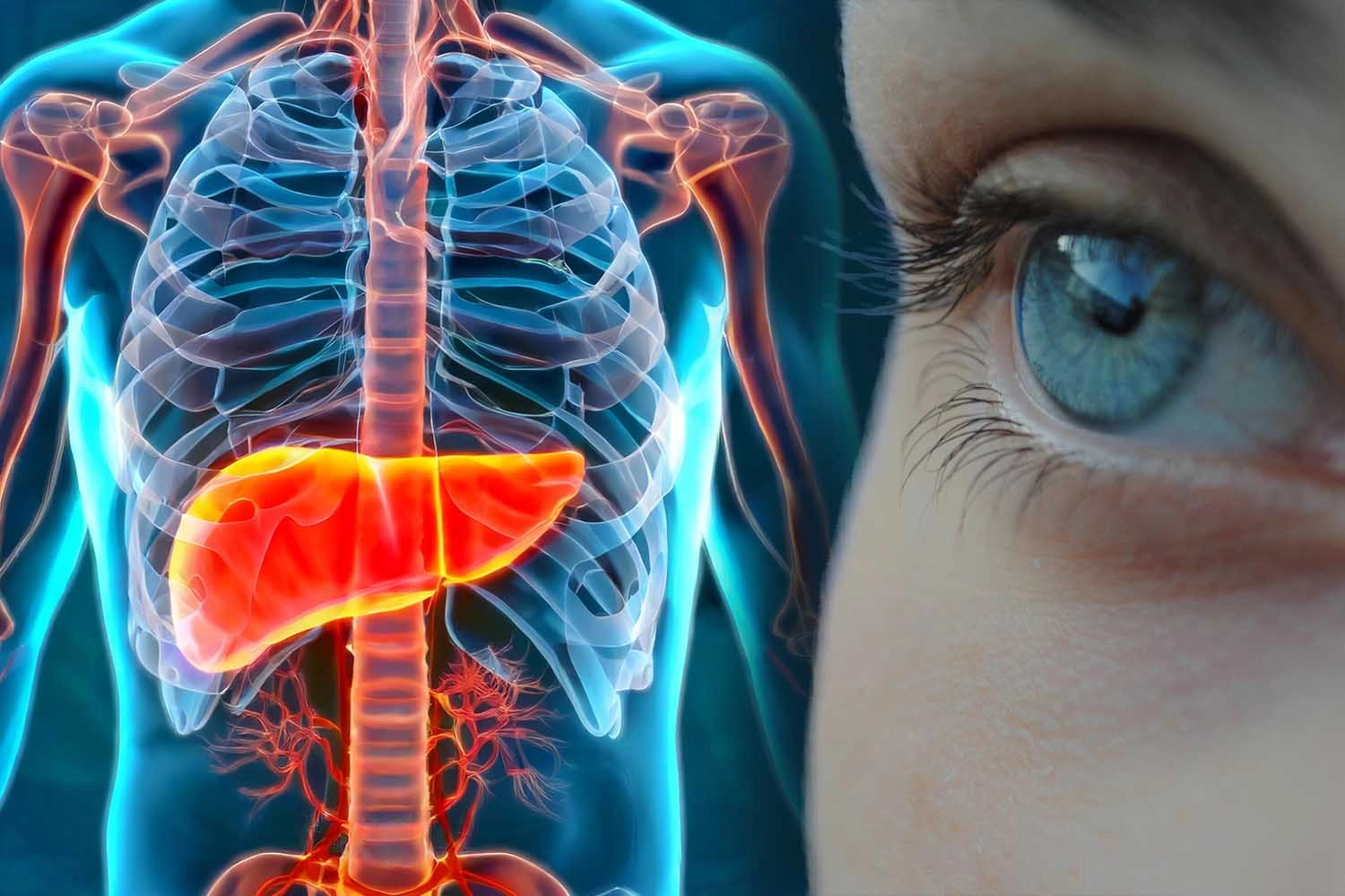 Болезни печени