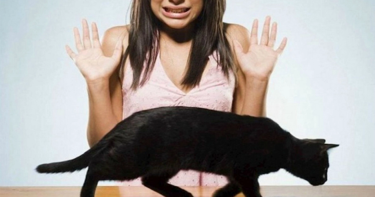 Суеверия и приметы: страх или народная мудрость?