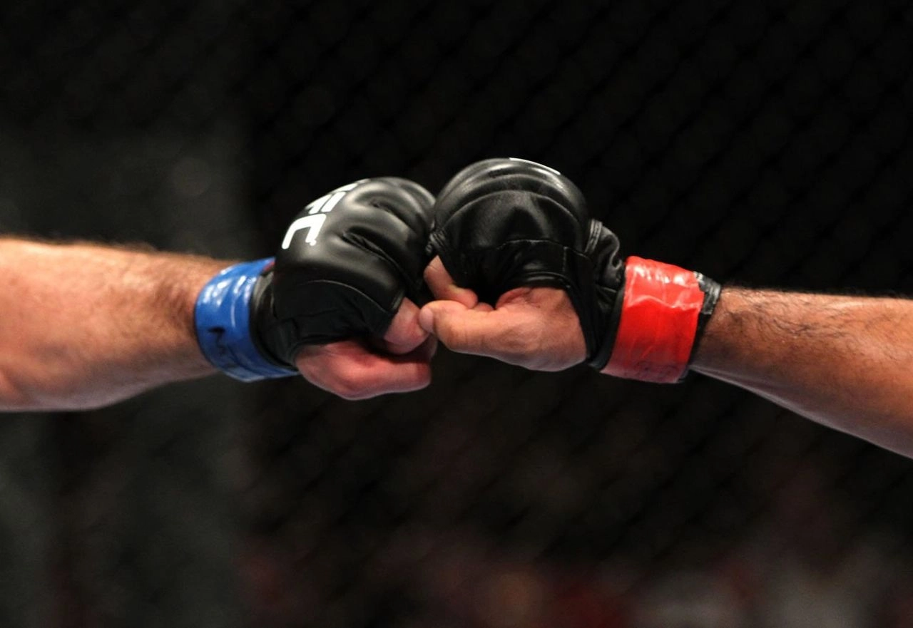 Перчатки для единоборств: выбор и особенности